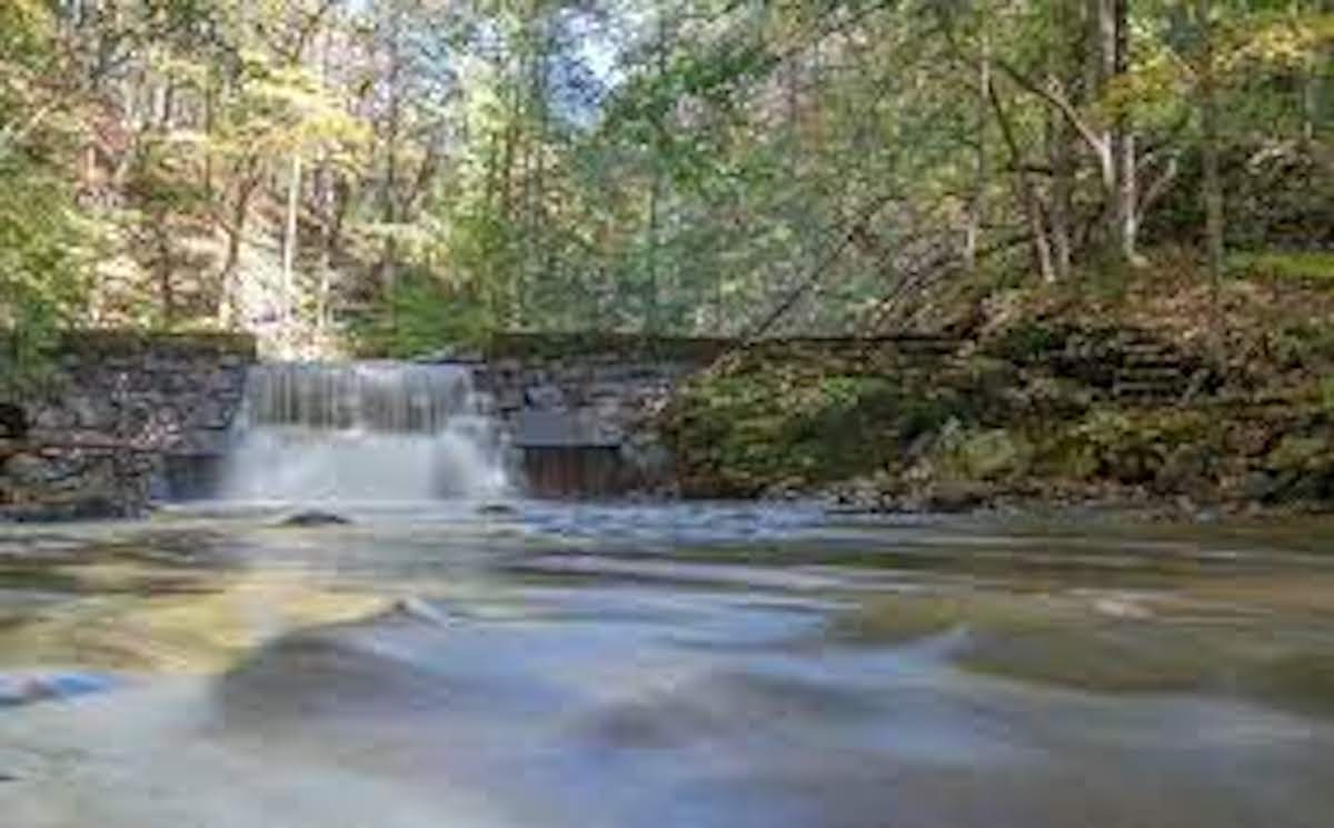 Gov. Murphy Announces Free Entry To NJ State Parks Beginning This