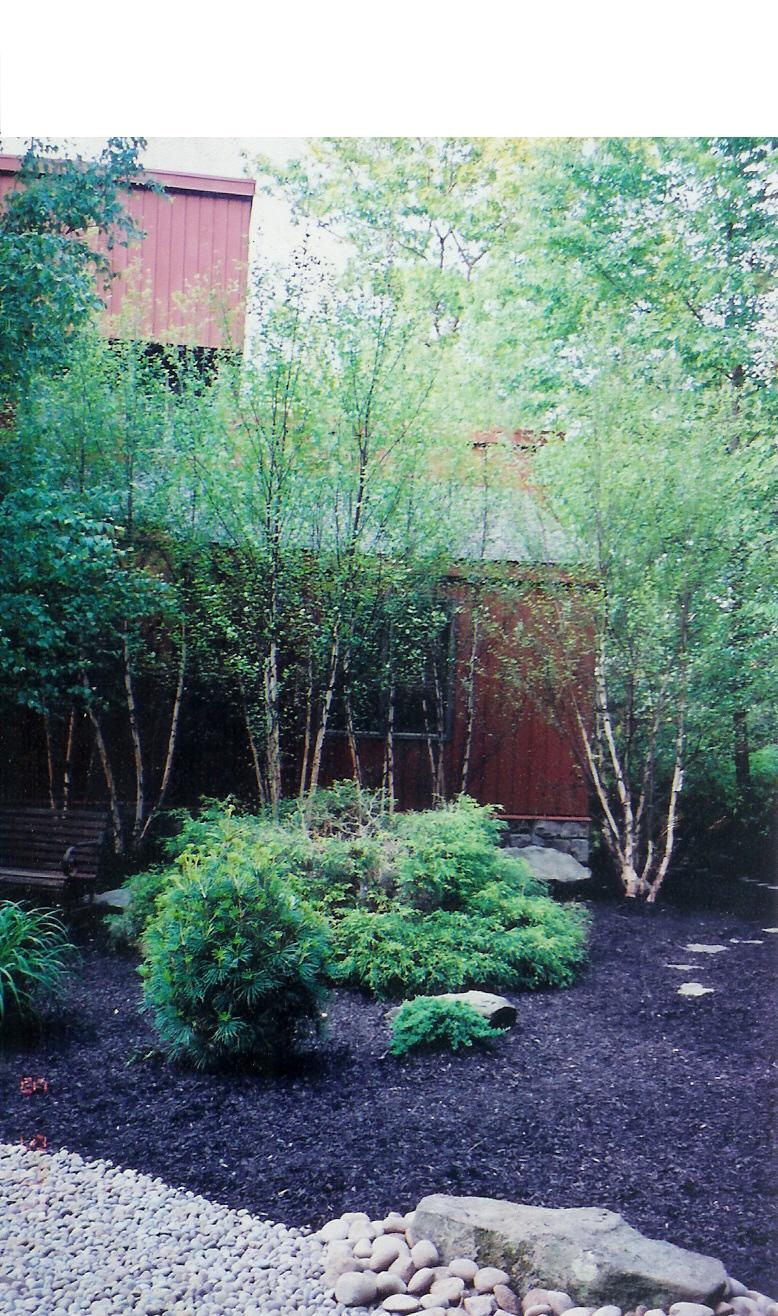 gerard mccluskey landscape design