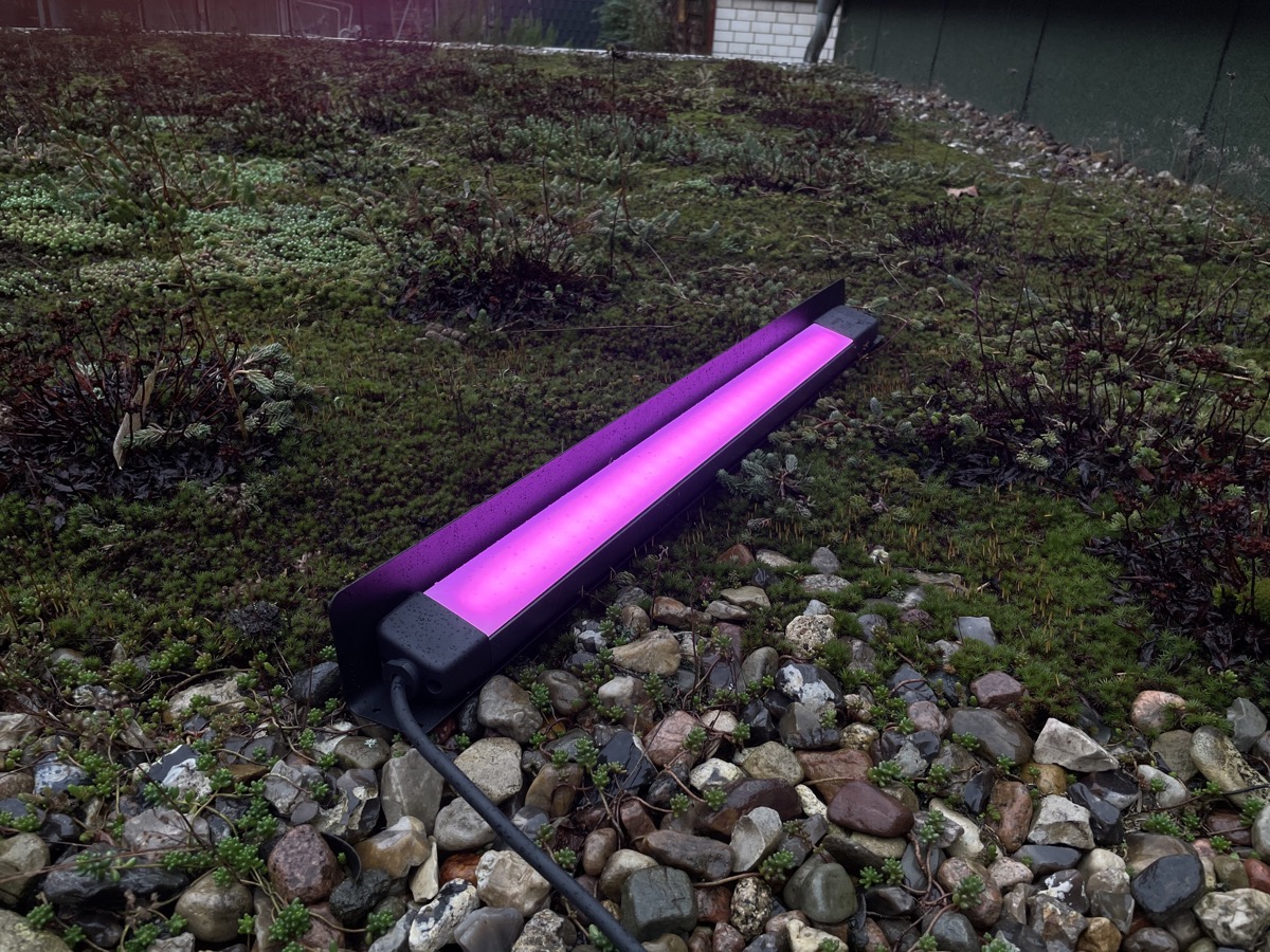 First impressions of the new Philips Hue Amarant - Hueblog.com