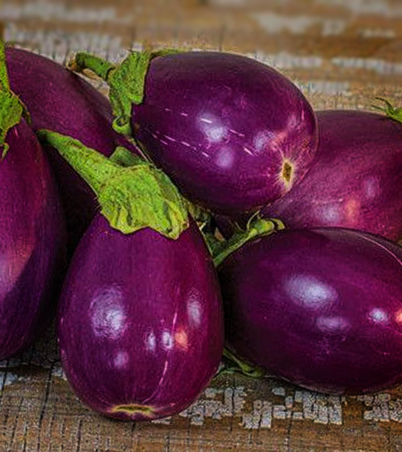SEMILLAS DE BERENJENA ROSITA, EGGPLANT Huerta Familiar