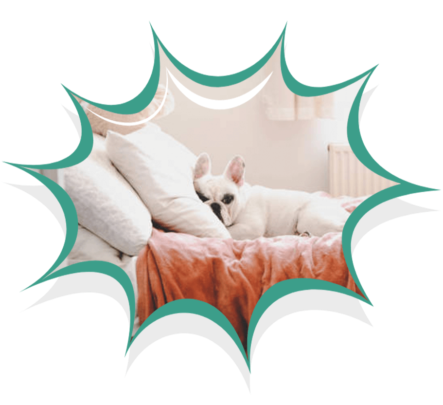 Indoor Air Quality Sacramento CA Home Air Quality Huft