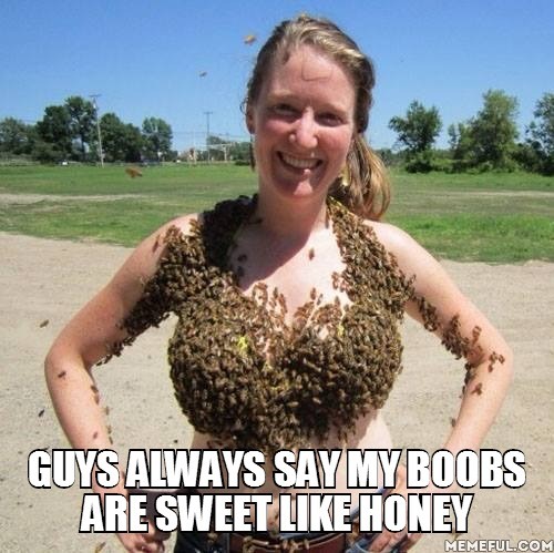 Dem Boobees