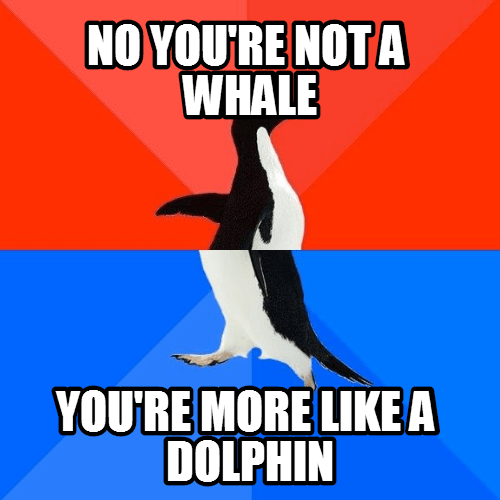 So apparently this is not a good thing to say...