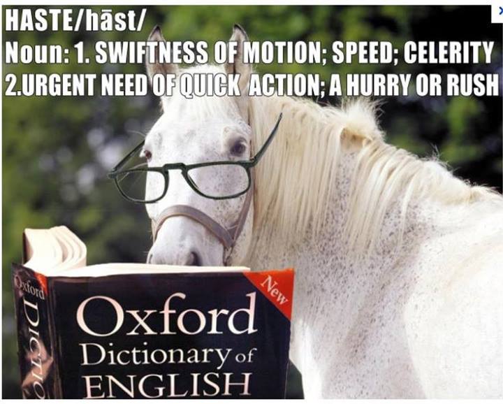Shadowfax, show us the meaning of haste