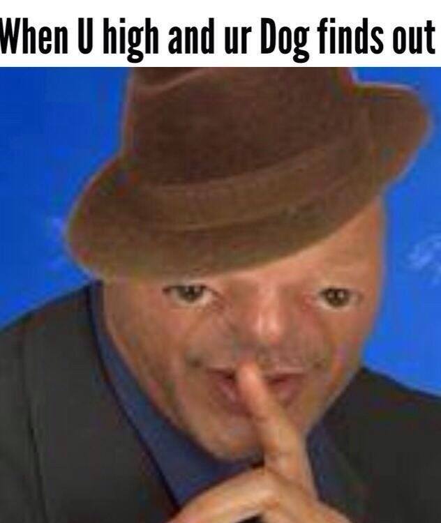 When you're high af