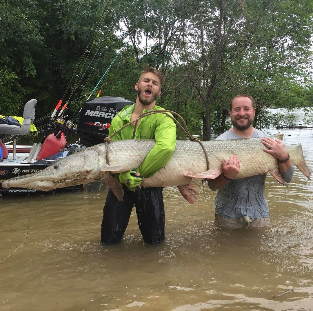 What a Whopper.