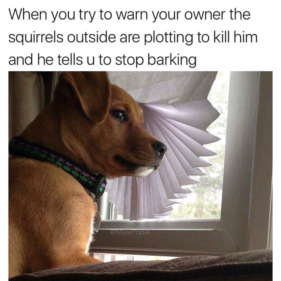 Just trying to warn you guys