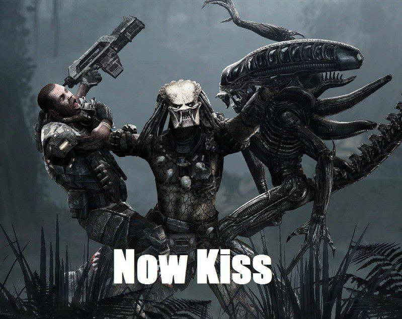 I Pronounce You Husband and Wife