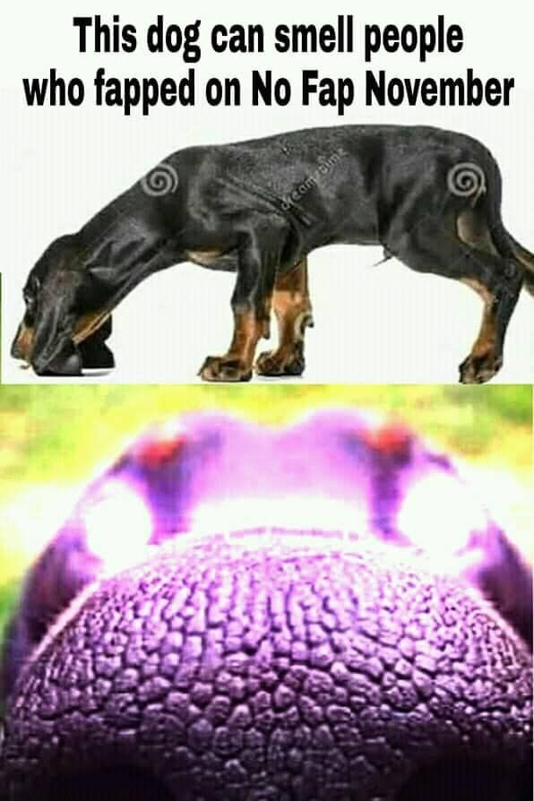 Do you smell it? The Smelly Smell that Smells Smelly