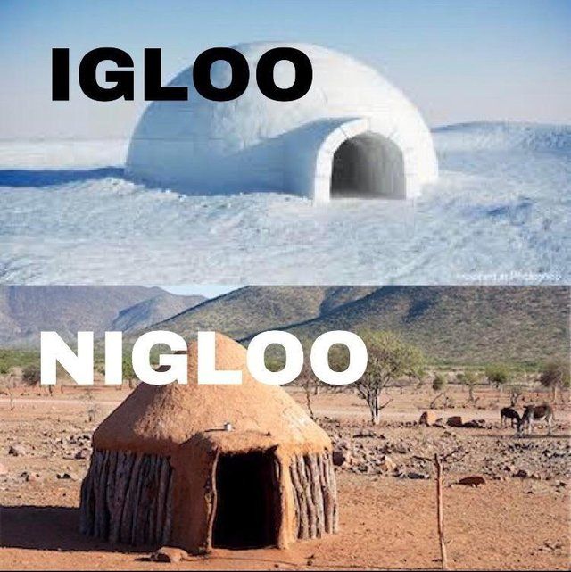 igloo