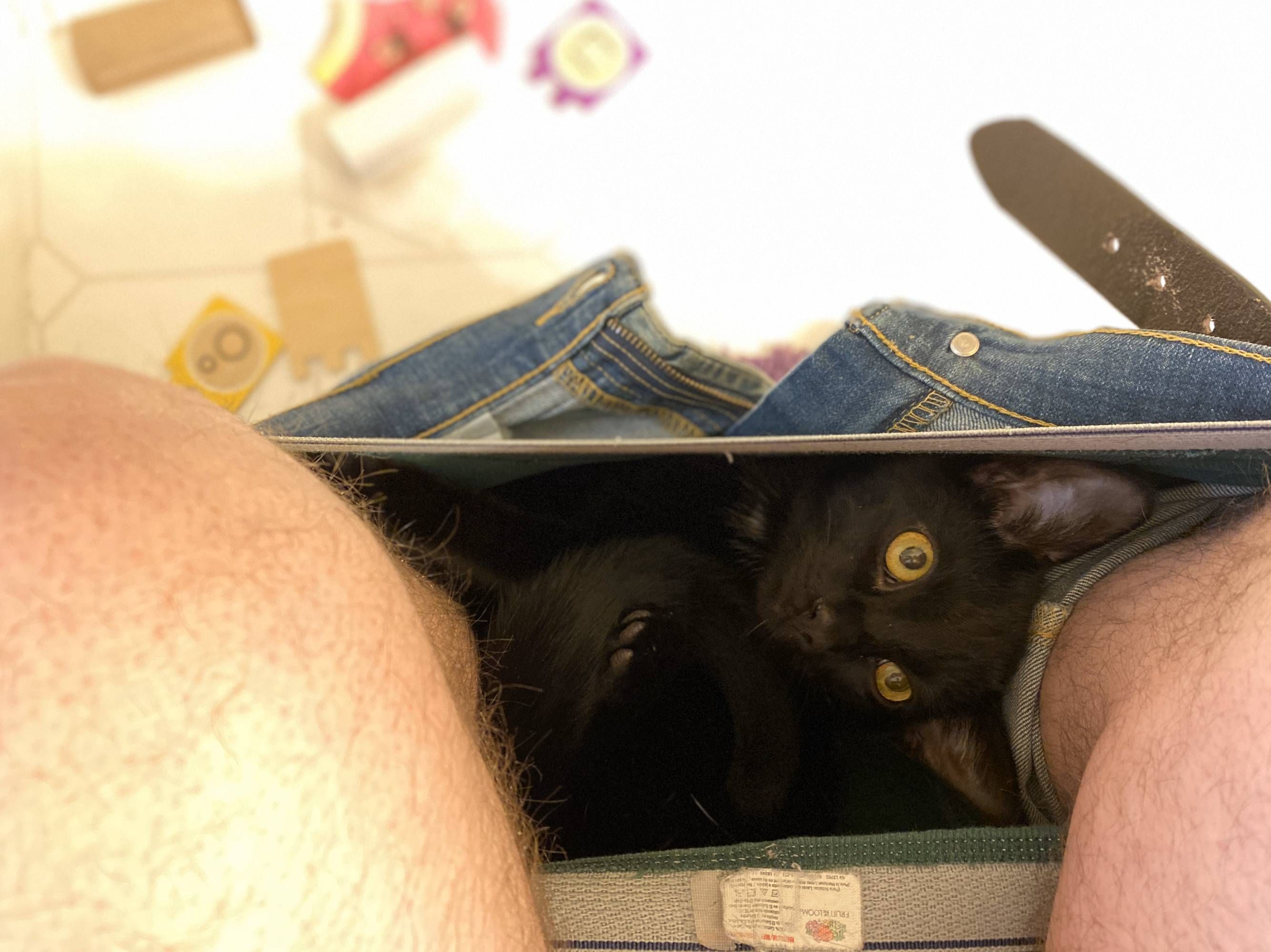 My daughter’s cat loves me and follows me everywhere, even to the