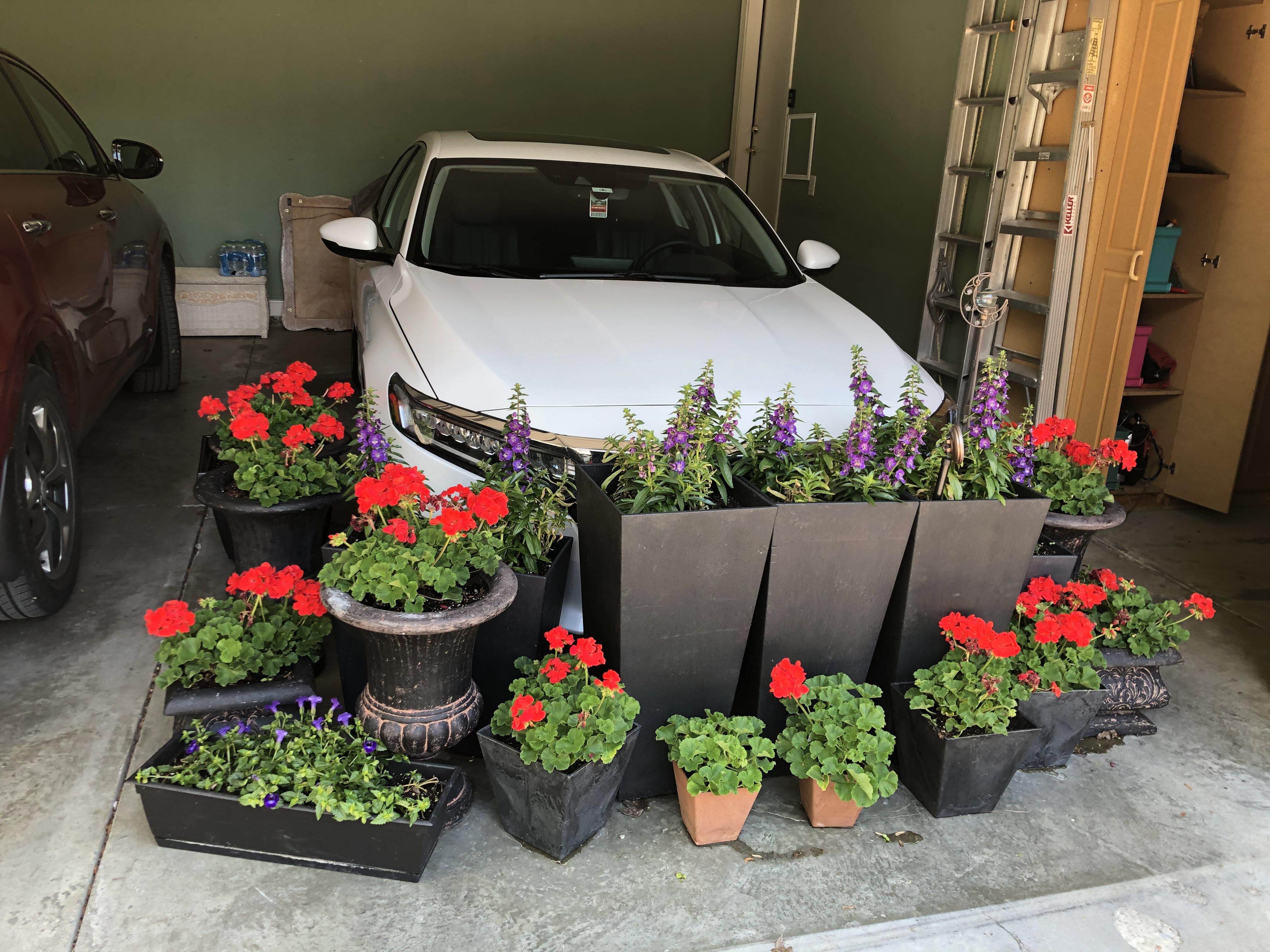 Looks like a wake for my car after my wife moved the flowers into the