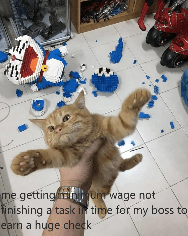 this is a real meme sort of