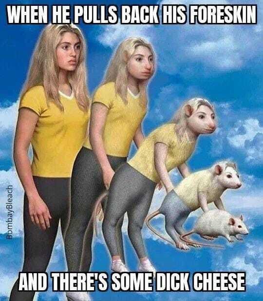 Cheesed to meet you