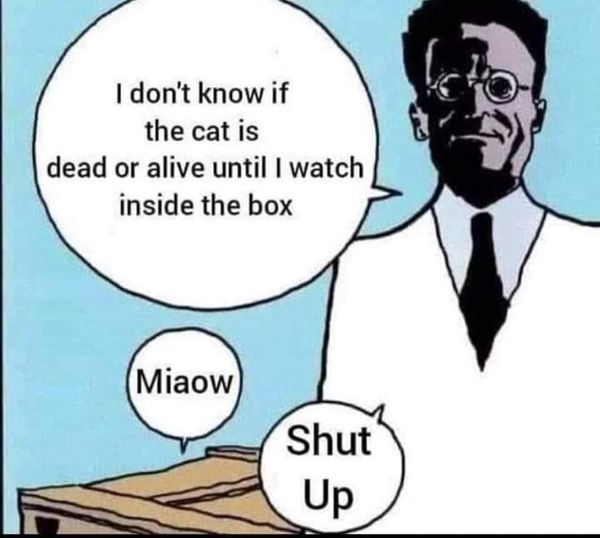 Schrodinger and his cat.