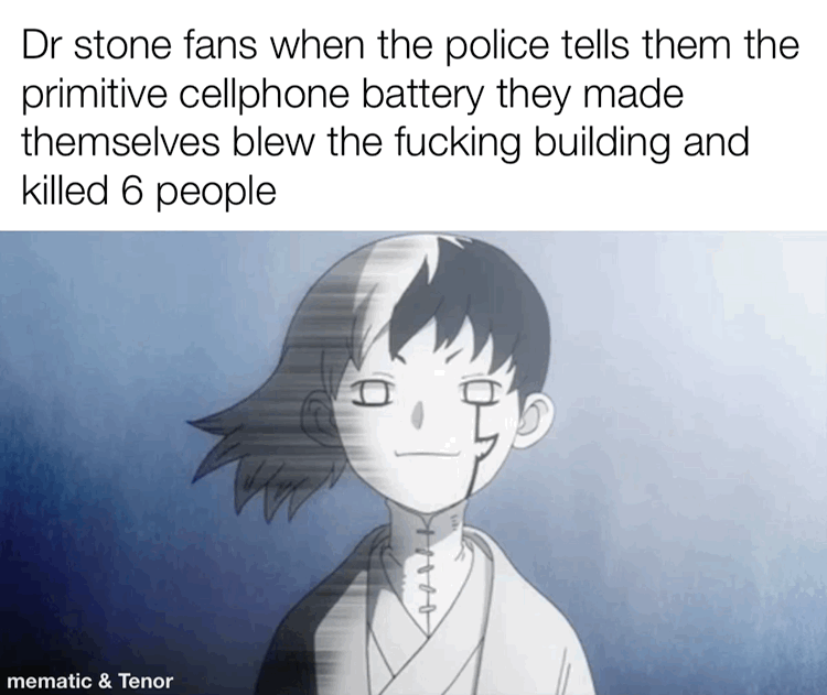 Dr stone fans
