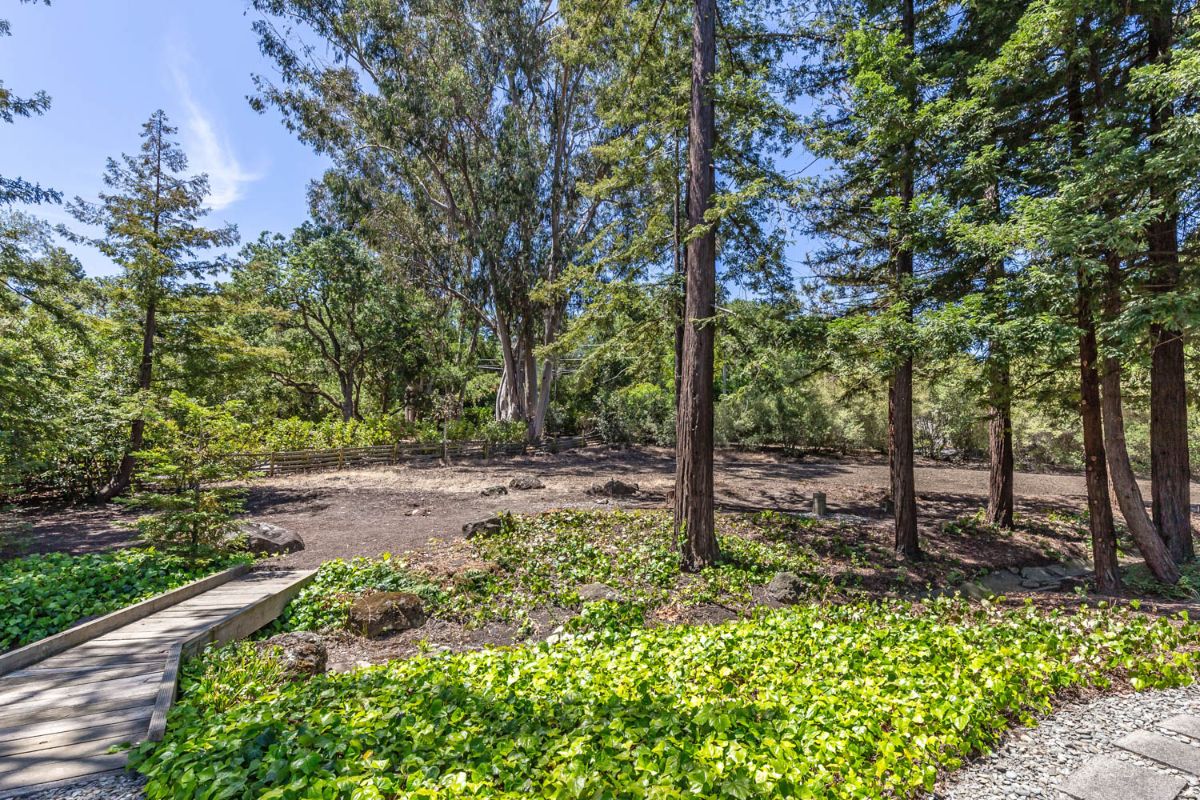 401 Fletcher Drive, Atherton Hugh Cornish Real Estate of Atherton