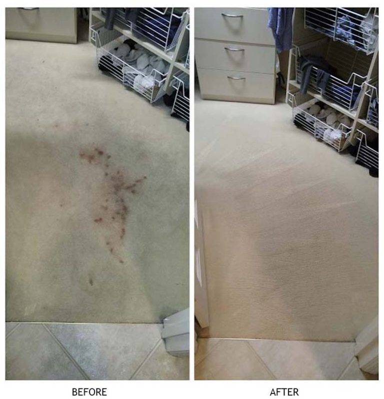 Professional Atlanta Carpet Cleaner Hughes Dry Carpet