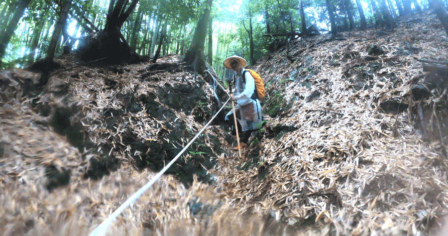 四國遍路全記錄【雨的考驗】20 番太龍寺 – 21 番平等寺（28 天之 6）