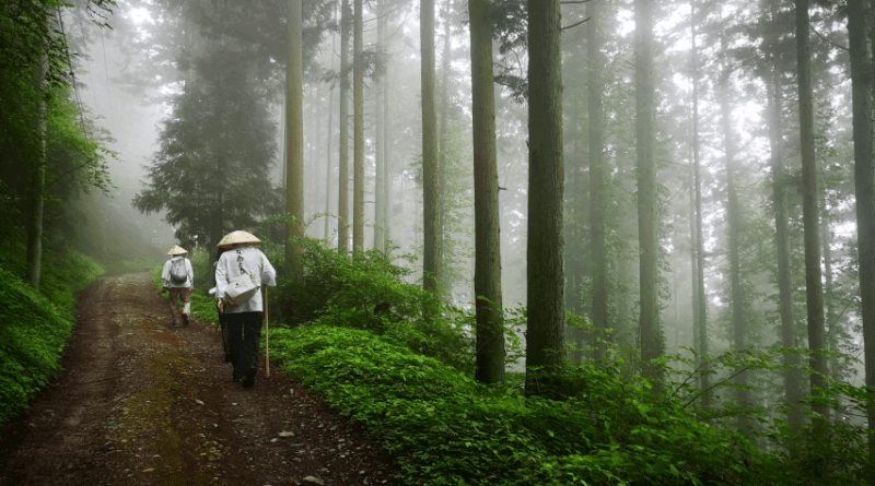 四國遍路全記錄【腳開始抗議啦！】第 60 番橫峰寺（28 天之 21）