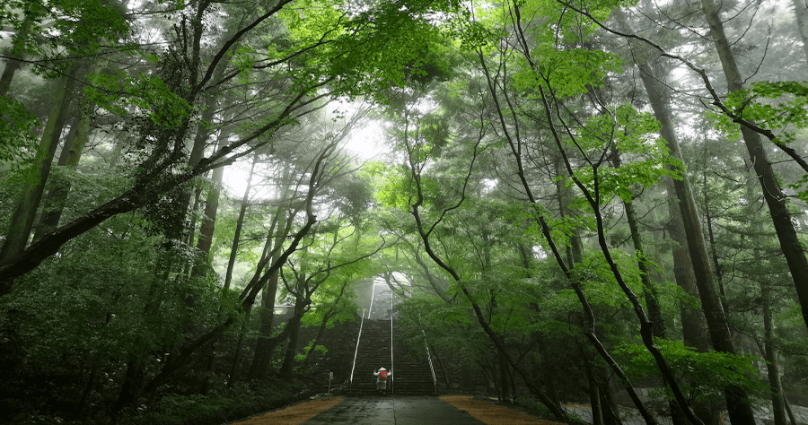 四國遍路全記錄【超狂下山路，完美詮釋什麼叫斬荊披棘】第 82 番 ～第 84 番（28 天之 27）