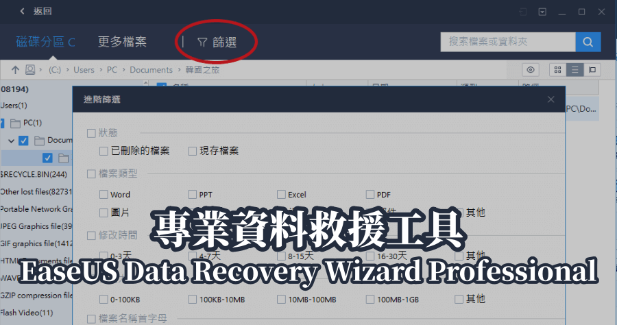 EaseUS Data Recovery Wizard Professional
