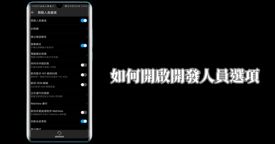 HUAWEI P30 Pro 開發人員選項
