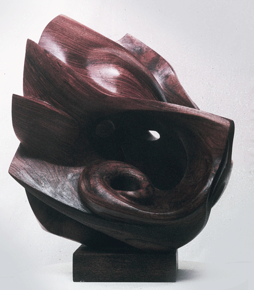 Venus Shell Hugo Powell