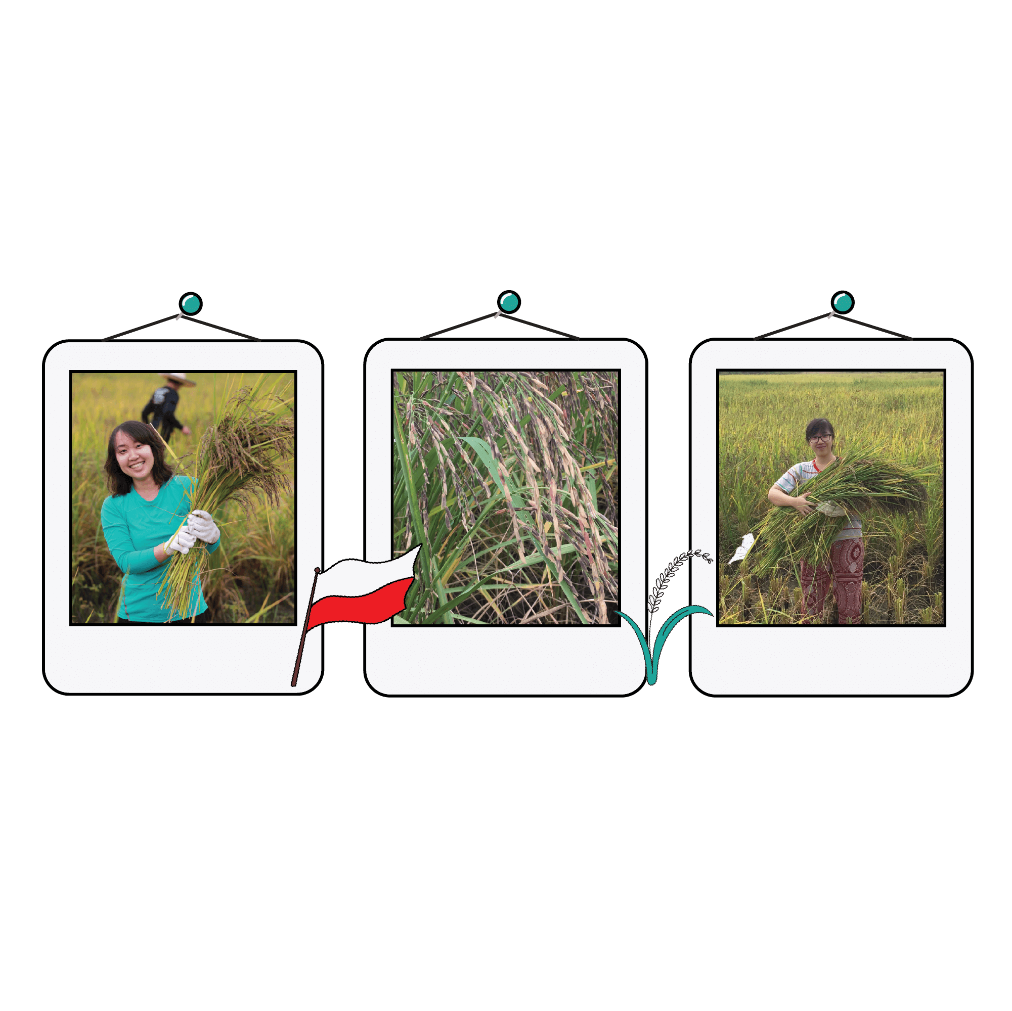 Hug Journey • Hug Organic