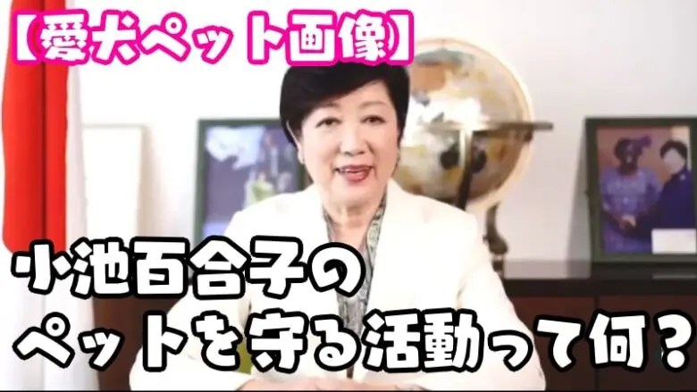 【愛犬ペット画像】小池百合子のペットを守る活動って何？ 玉子の気まぐれ日記