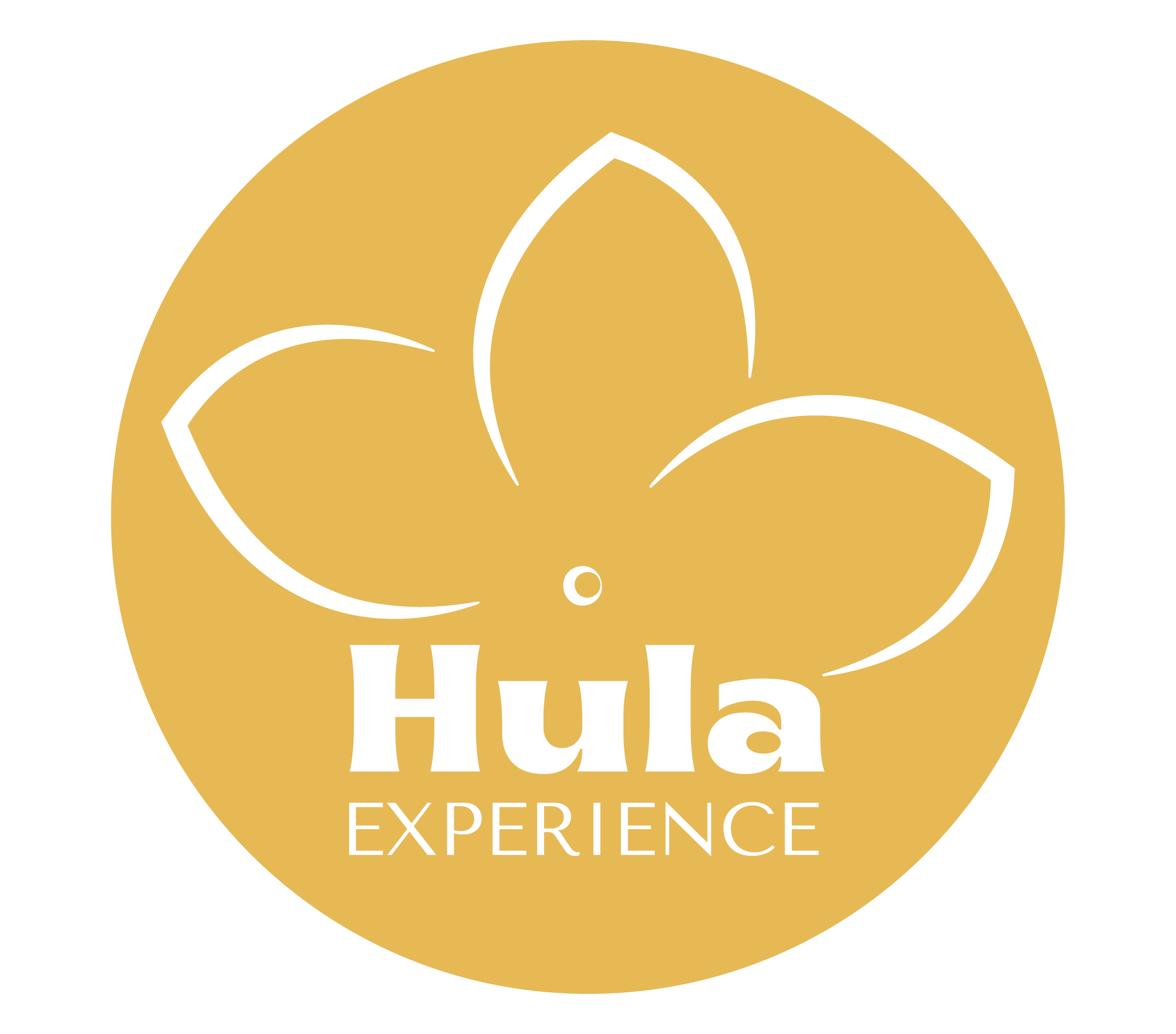A Hui Hou Kākou Hula Experience