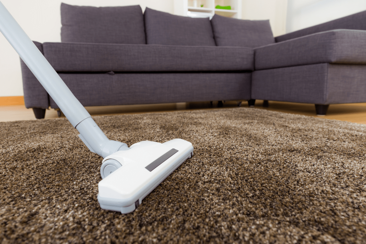 How To Clean Shag Rug Huliq