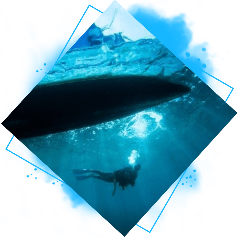 About Us Boat Hull Cleaning Experts, Hulldivers