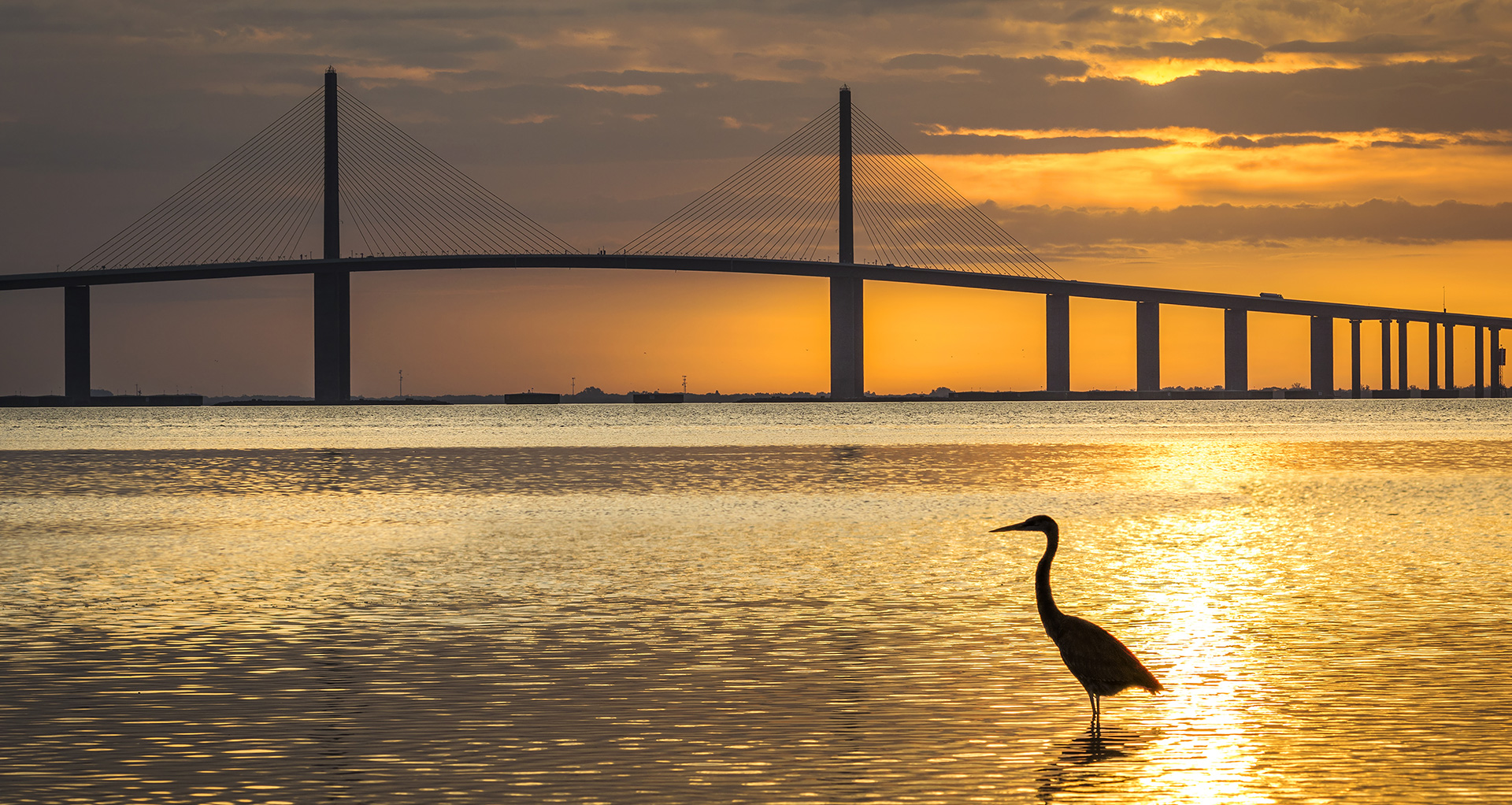 Hull Co Tampa Bay Insurance Services