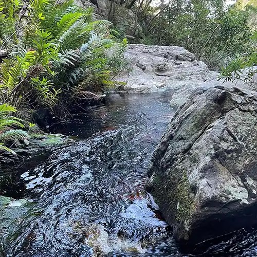 Your guide to zen garden wellness Hully Pods