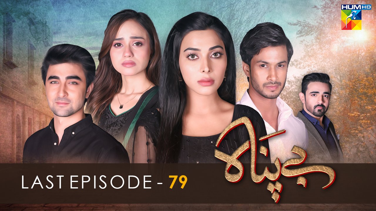 Bepanah 𝐋𝐚𝐬𝐭 𝐄𝐩𝐢𝐬𝐨𝐝𝐞 Hum TV