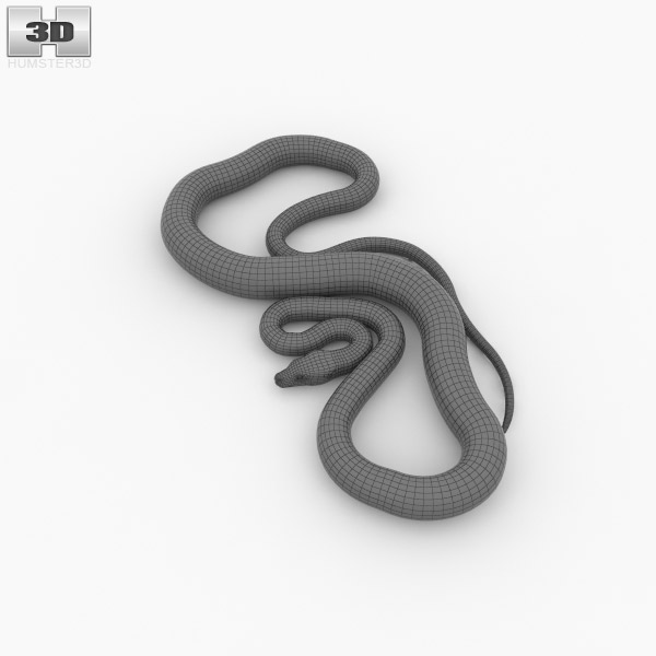 Common Python 3D model Hum3D