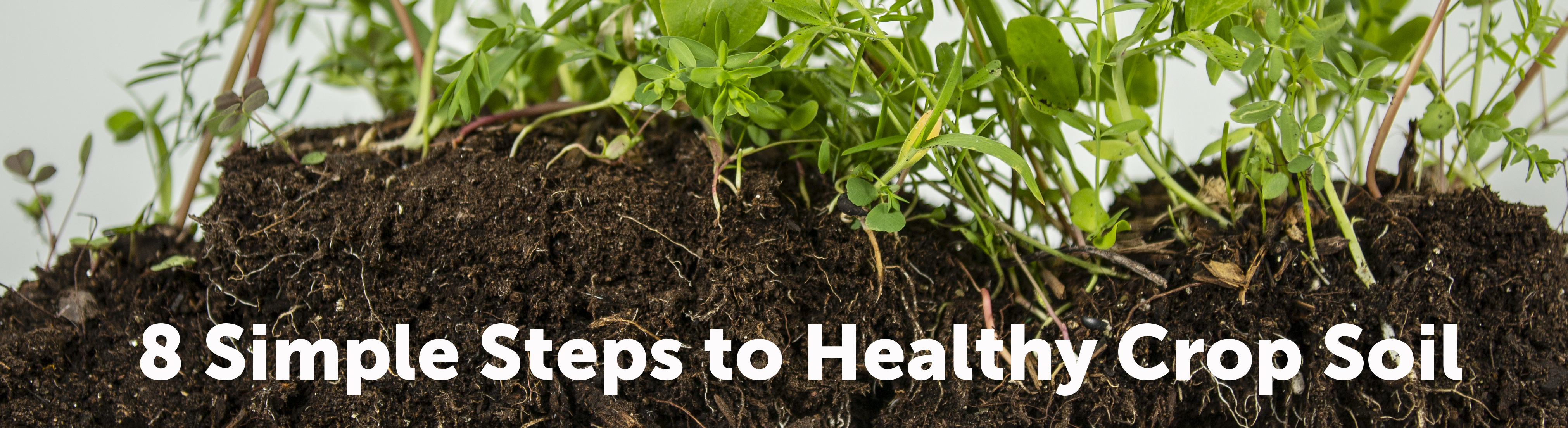 8 Simple Steps to Healthy Crop Soil Huma Gro®