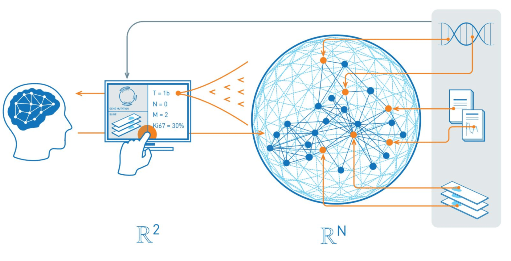 FWF Project Reference Model of Explainable AI for the