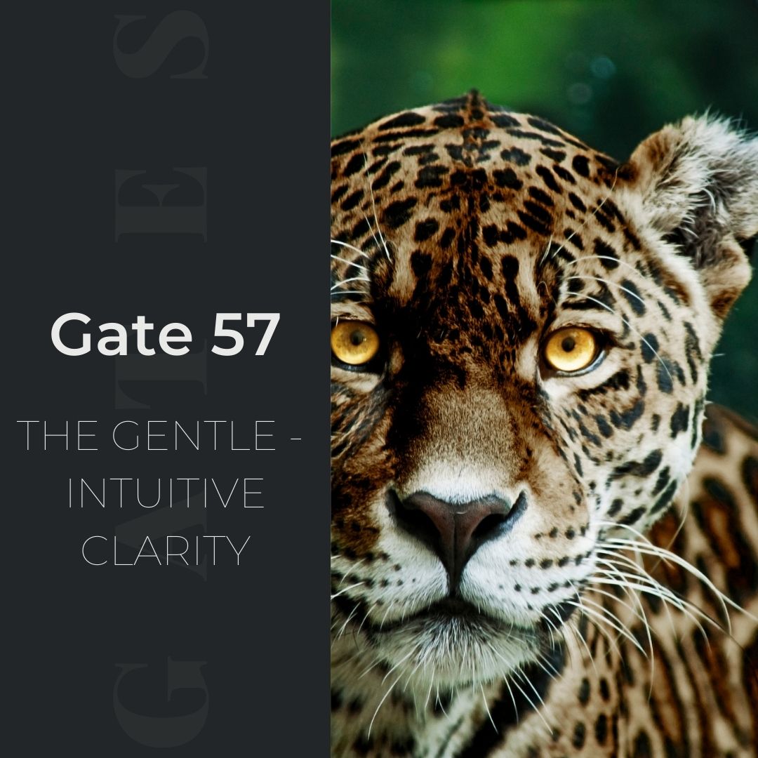 Gate 57 The Gentle Intuitive Clarity Human design System