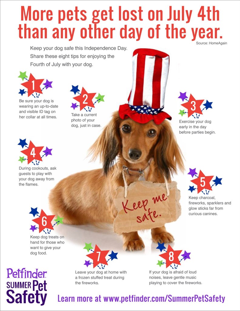 5 Tips for Your Pets for 4th of July Humane Society of Broward County