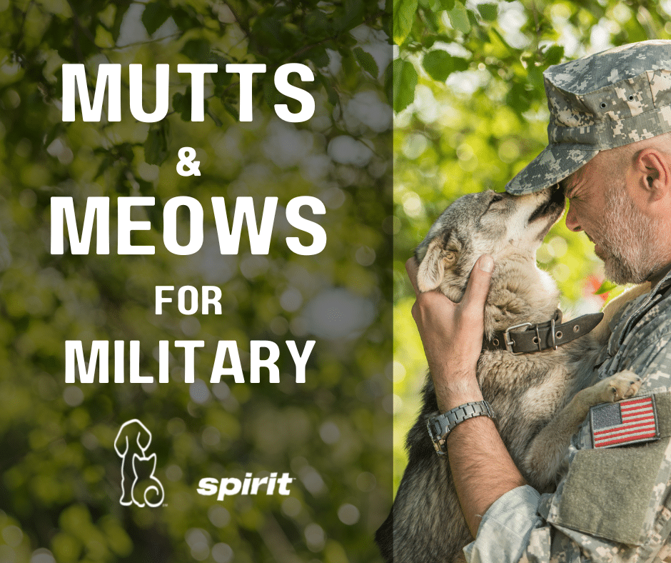 Spirit Airlines’ Mutts and Meows for Military program Humane Society