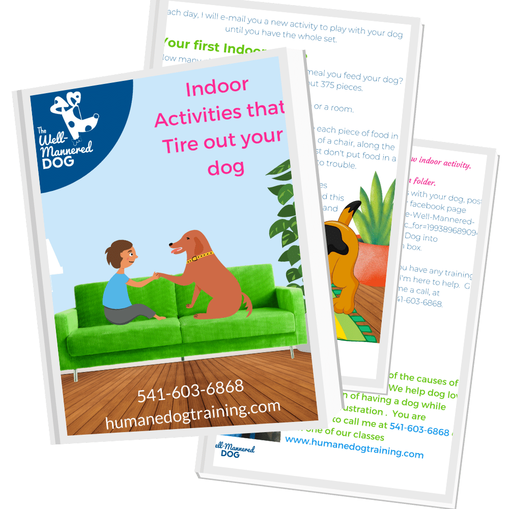 Indoor Activities That Tire Out Your Dog • The WellMannered Dog, LLC