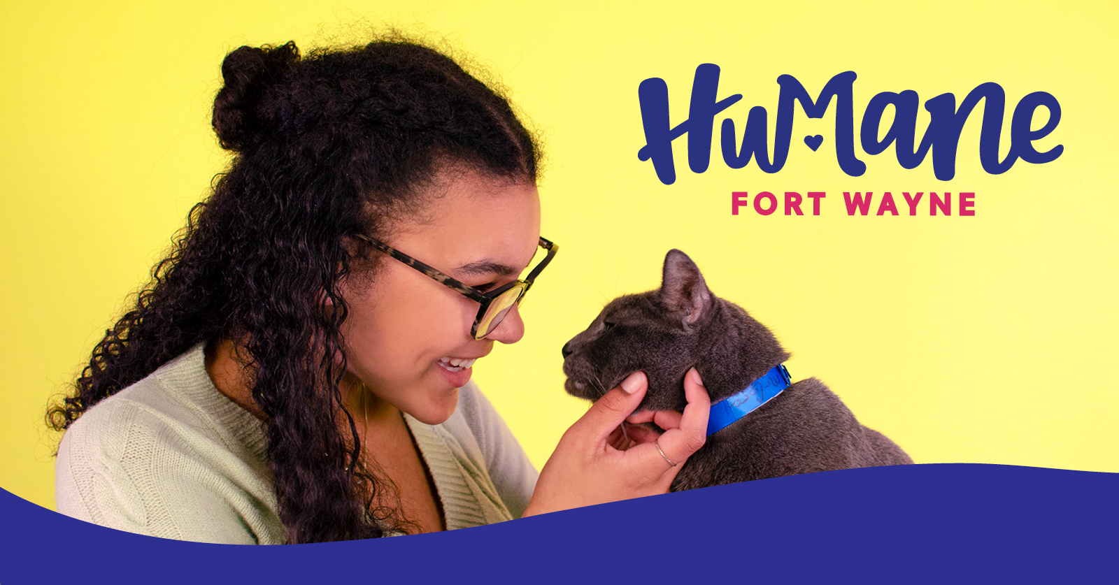 Adoptable Cats Humane Fort Wayne