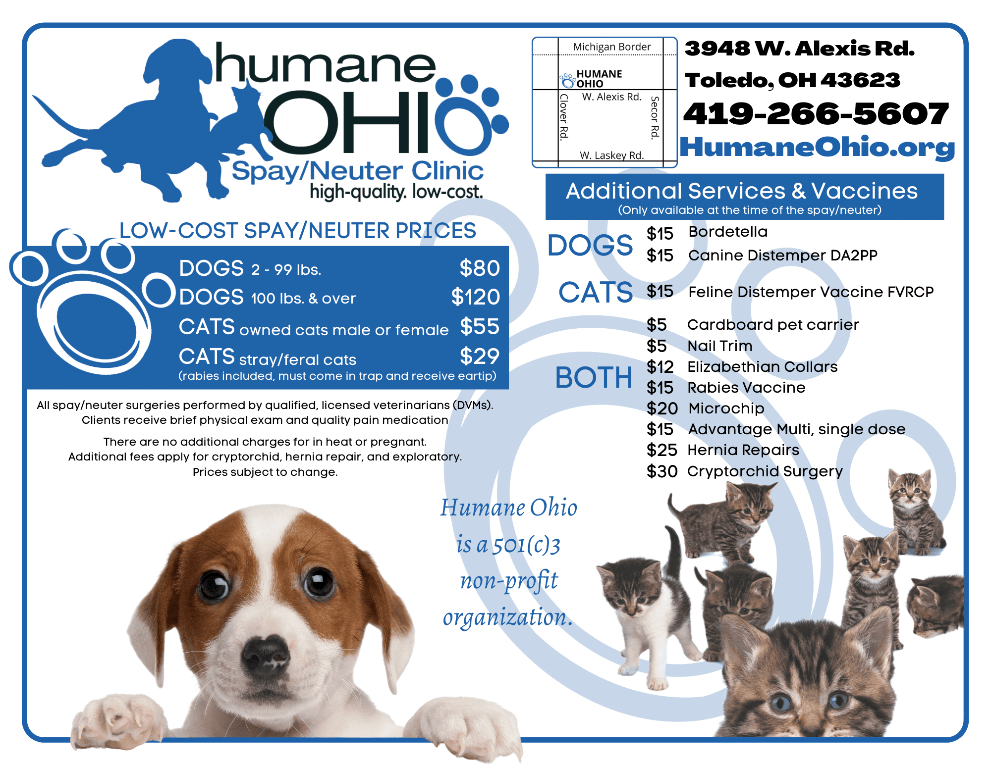 Ohio Dog License Stark County Adopt 76 Bullwinkle On Petfinder › Triple