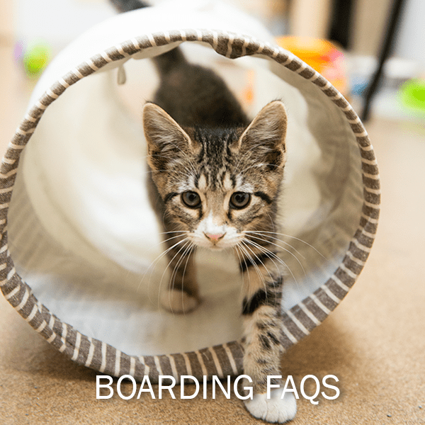 Pet Boarding Humane Pennsylvania