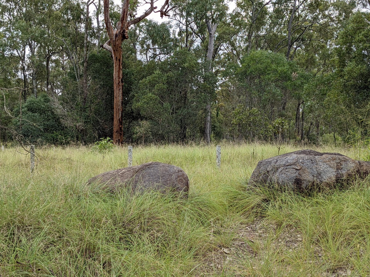 Share 121+ bora ring poem super hot xkldase.edu.vn