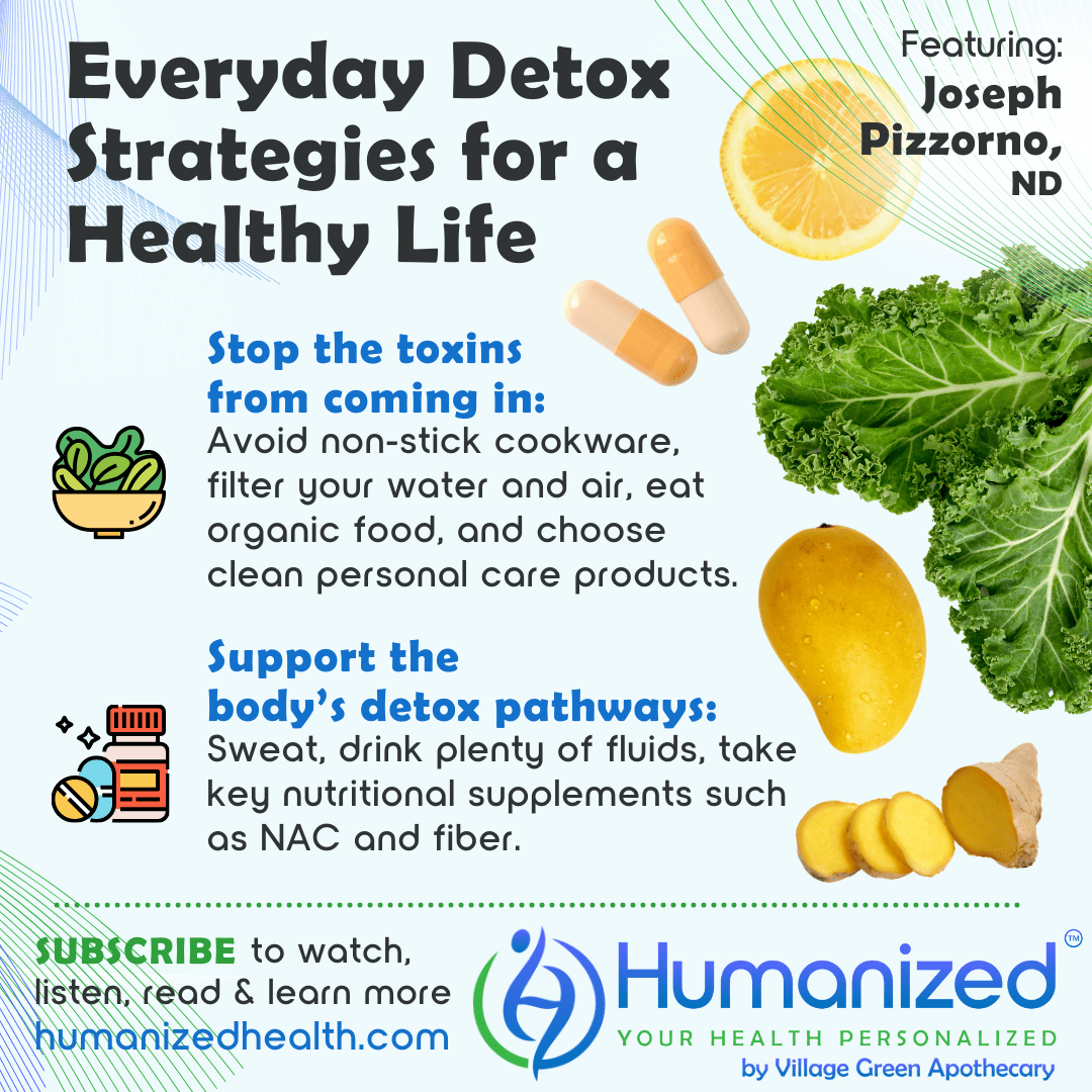 Everyday Detox Strategies for a Healthy Life Humanized