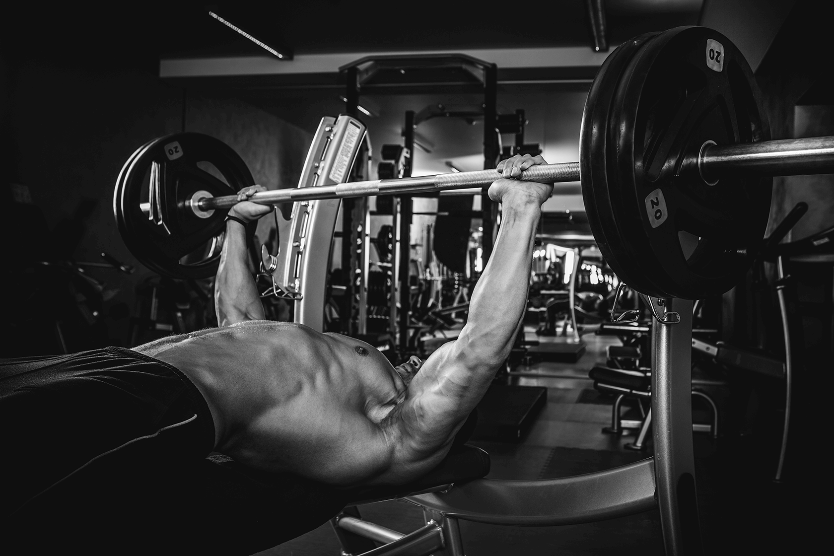 6 of the most common questions of building muscle answered