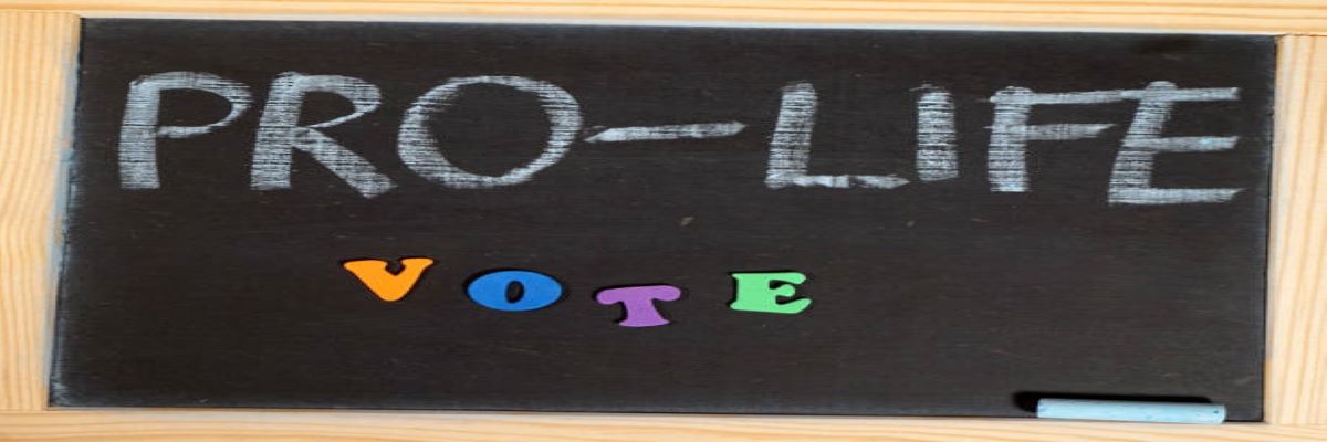 The Human Life Review Looking Forward to 2022 The Human Life Review